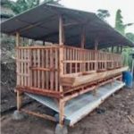 Sosialisasi dan Penerapan Green Barn pada Peternakan Kambing Perah: Integrasi Produksi Susu dan Pengelolaan Limbah, di Desa Bangelan-Gunung Kawi, Kabupaten Malang